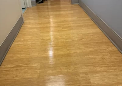 Exceptional Cleaning Services