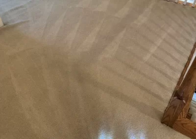 Home Cleaner