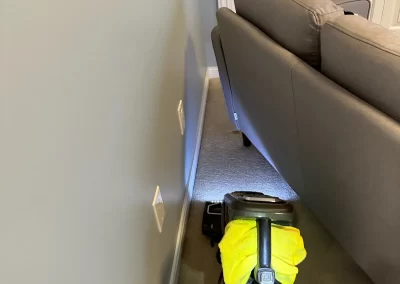 Home Cleaning