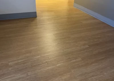 Professional Cleaning Company
