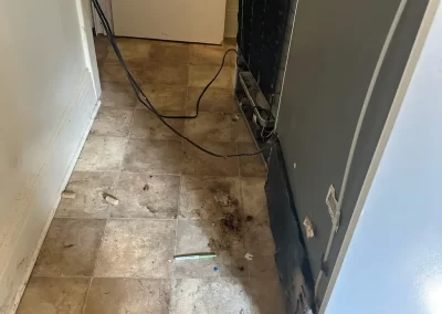 Thorough Cleaning Services