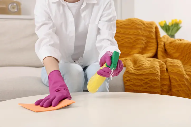 Excellent Home Cleaning Ypsilanti MI